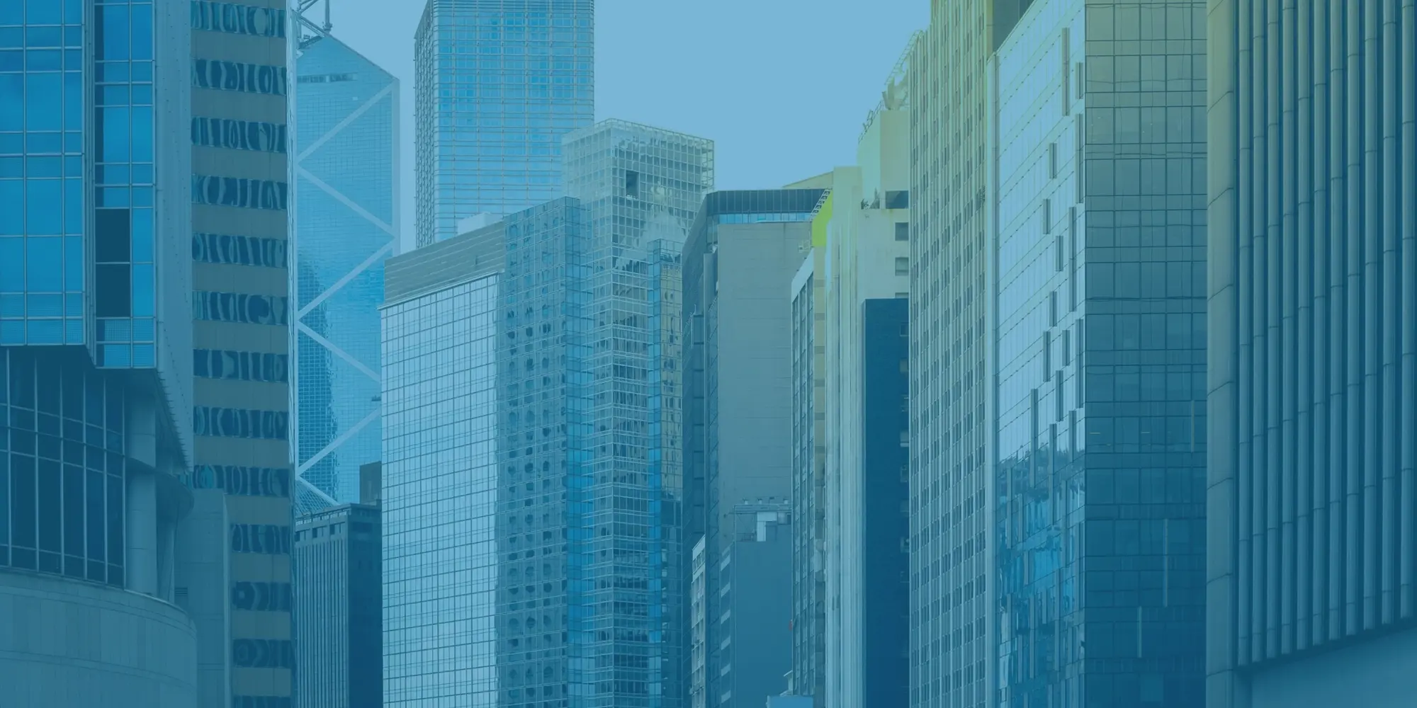 Modern buildings pal trees tint